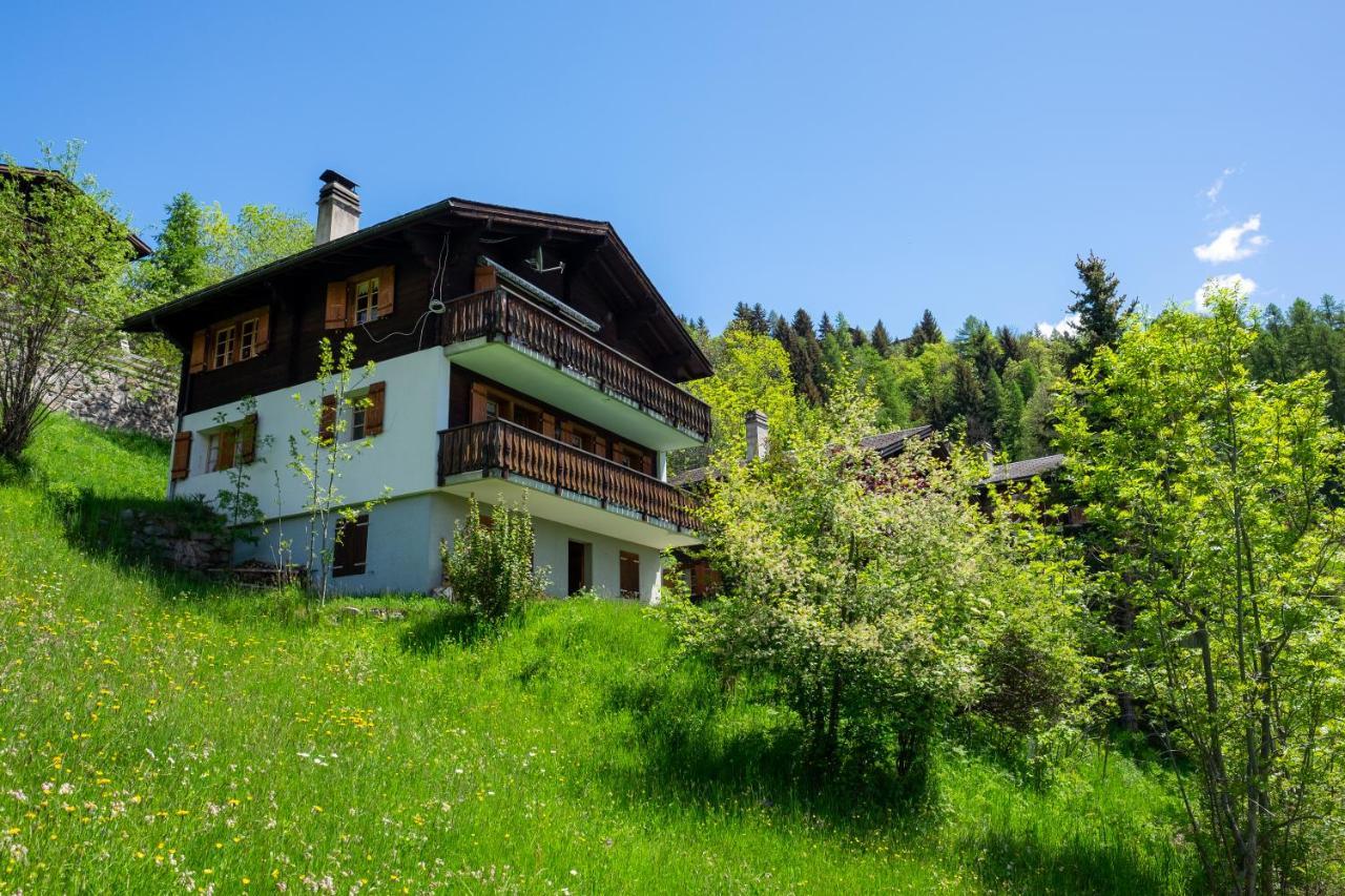 Chalet Orion Bellwal Extérieur photo